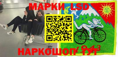 СК Дубна