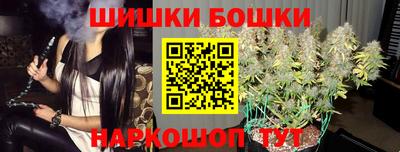 СК Дубна