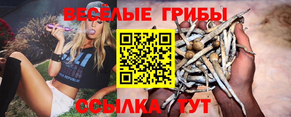 Кондопога  Галлюциногенные грибы мицелий  Галлюциногенные грибы MAGIC MUSHROOMS  Вход с VPN 
