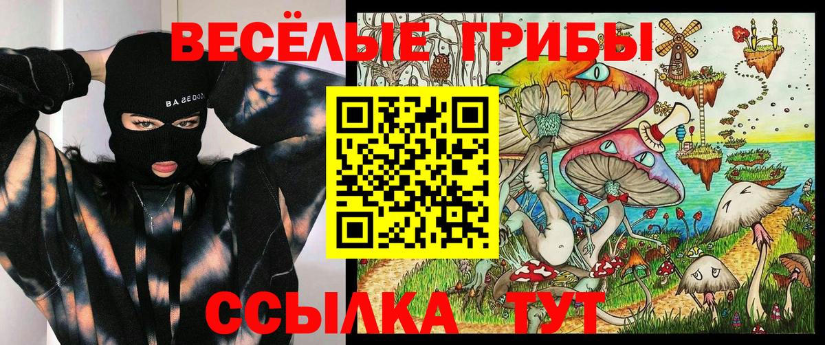 Псилоцибиновые грибы ЛСД Кондопога