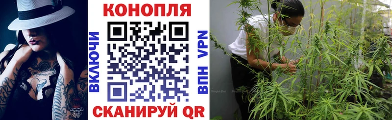 МАРИХУАНА OG Kush МЕГА Кондопога купить